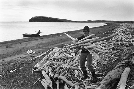 Mona and George Washington gathering firewood on the beach at Stewart Island near Stebbins.